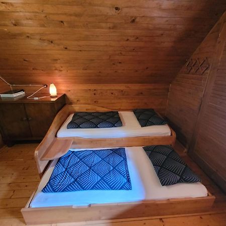 Zgornja Radovna Pocitniska Hisa Radovna 빌라 외부 사진