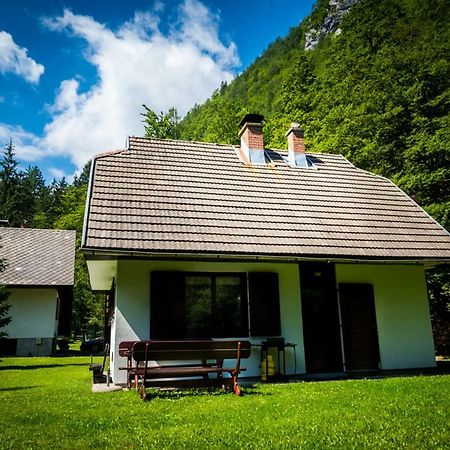 Zgornja Radovna Pocitniska Hisa Radovna 빌라 외부 사진