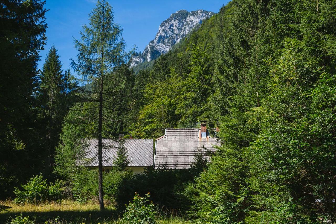 Zgornja Radovna Pocitniska Hisa Radovna 빌라 외부 사진